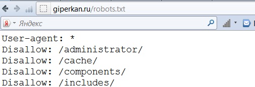 Найти и посмотреть файл robots txt в браузере